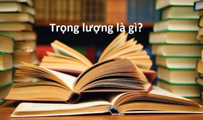 Khái niệm trọng lượng là gì